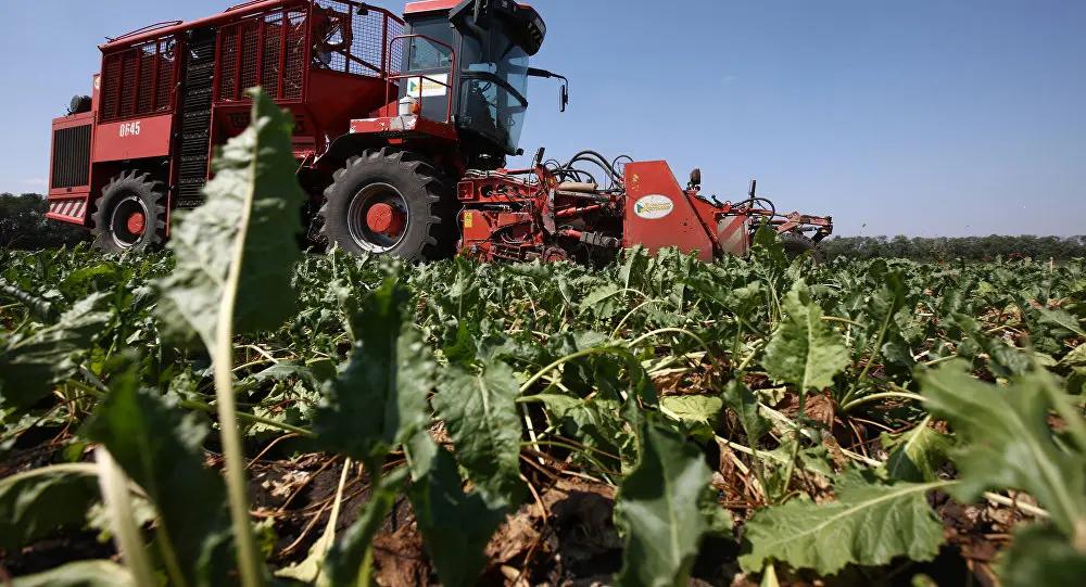 Where to get an agro loan and leasing on favorable terms? Analysis of bank offers