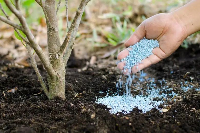 Как конфликт вокруг Ирана меняет посевную в Кыргызстане