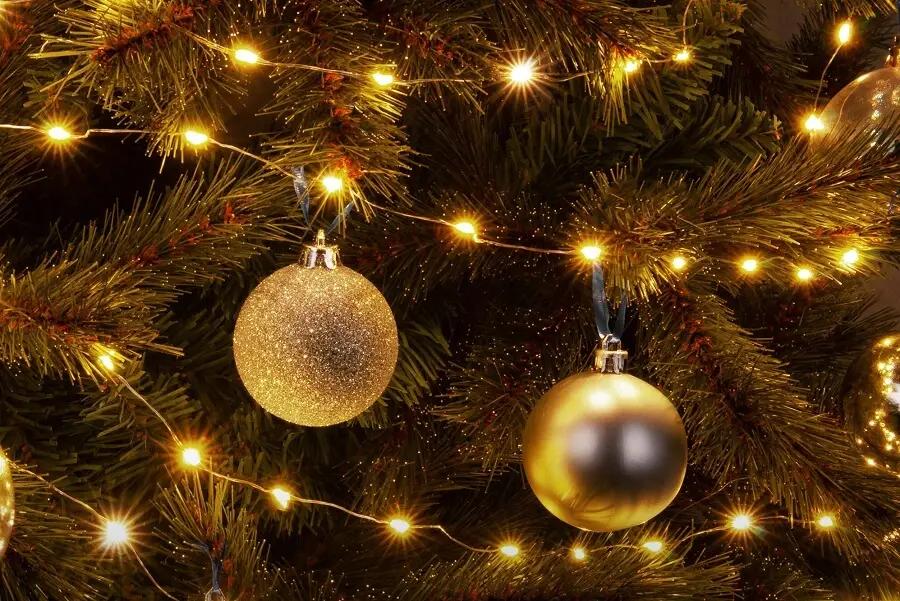 The country's main Christmas tree will be decorated with energy efficiency in mind