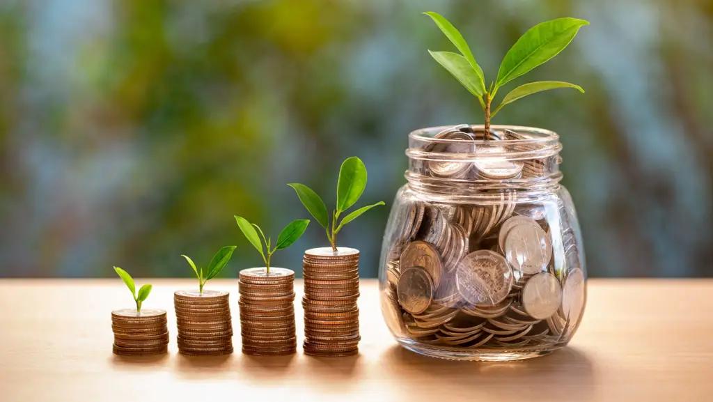 Four state institutions in Kyrgyzstan will receive $534,000 to establish forest nurseries