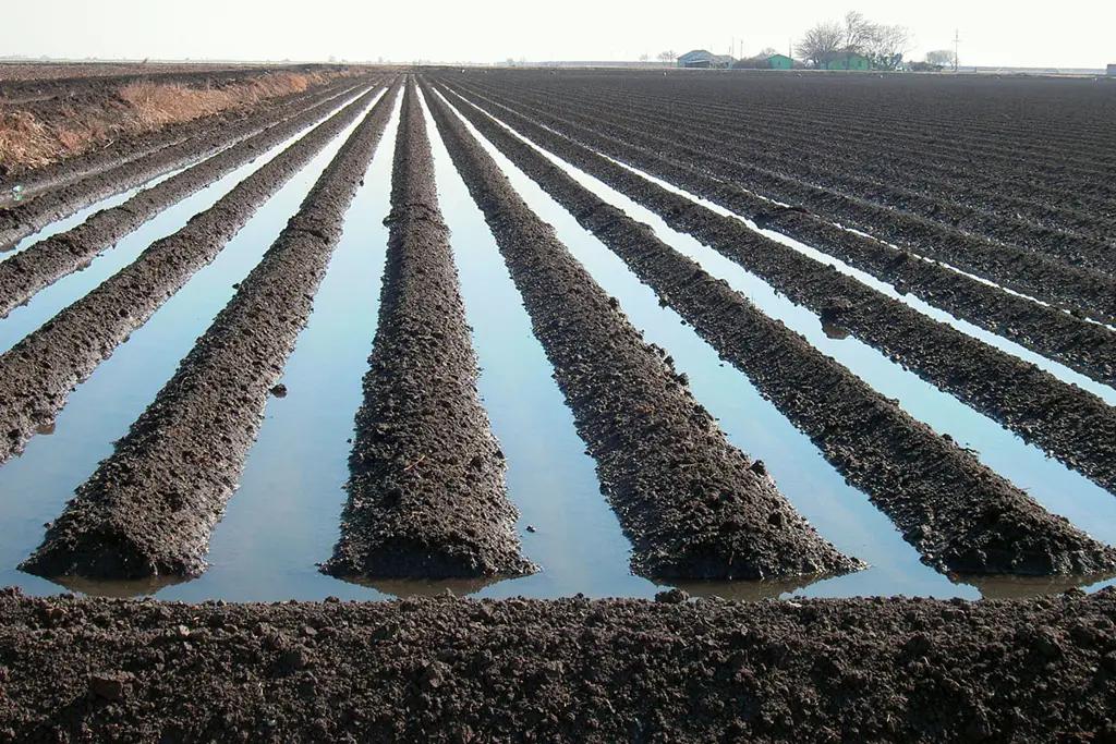 Irrigation problems are being solved in the Aksy district