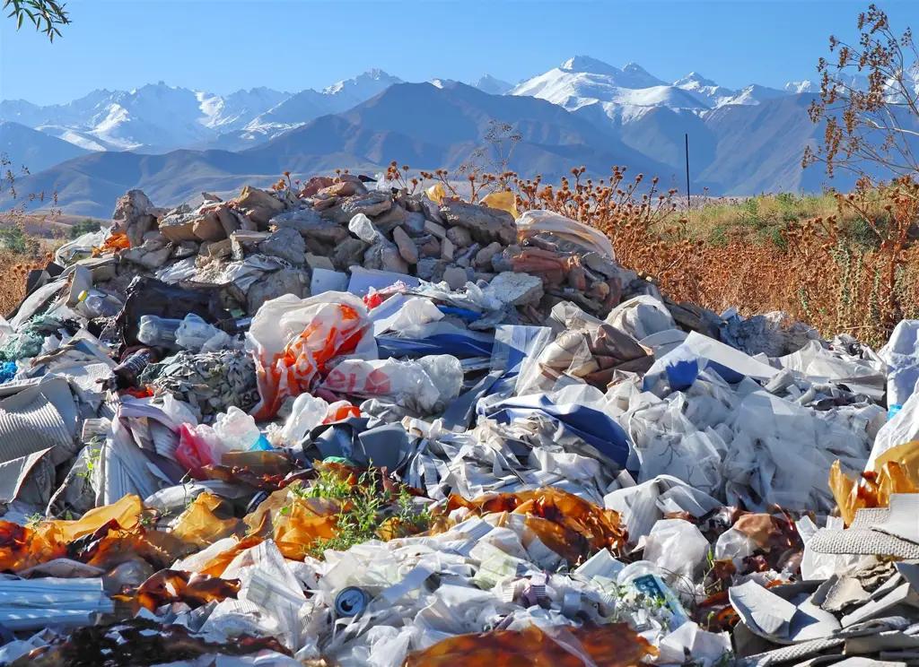 The ‘Ordo’ shopping centre in Cholpon-Ata has been fined for illegal dumping