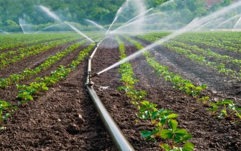 Almost 226 million KGS to be allocated for automated irrigation in the Issyk-Kul region