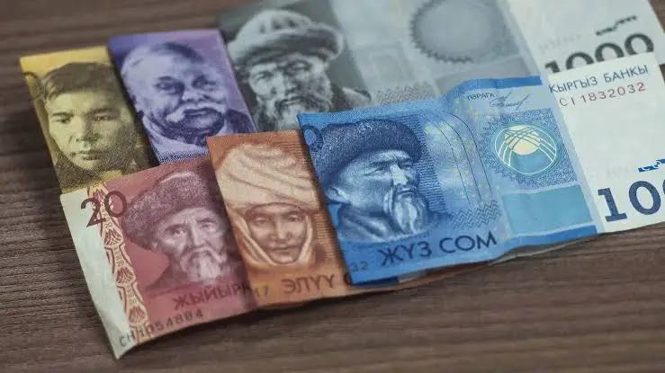 Сом укрепился к большинству валют. Курс валют НБ КР на 20 июня