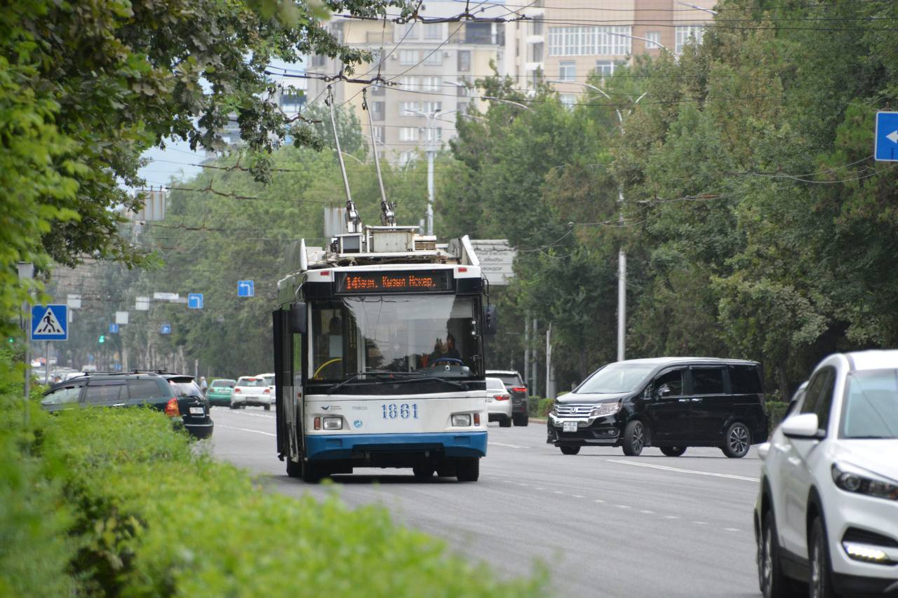 Экскурсия на троллейбусе: Акция за сохранение экотранспорта
