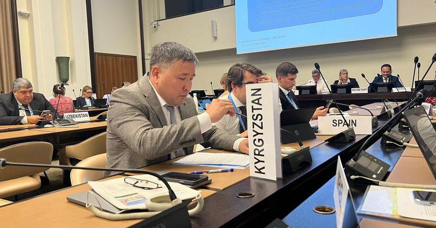 Максутов стал вице-председателем Центра ООН по упрощению торговли