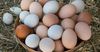 Кабмин ввел временный запрет на импорт куриных яиц