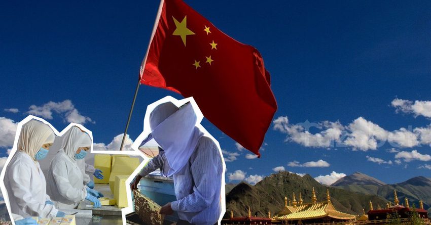 КР хочет наладить поставку сельхозтоваров в Китай