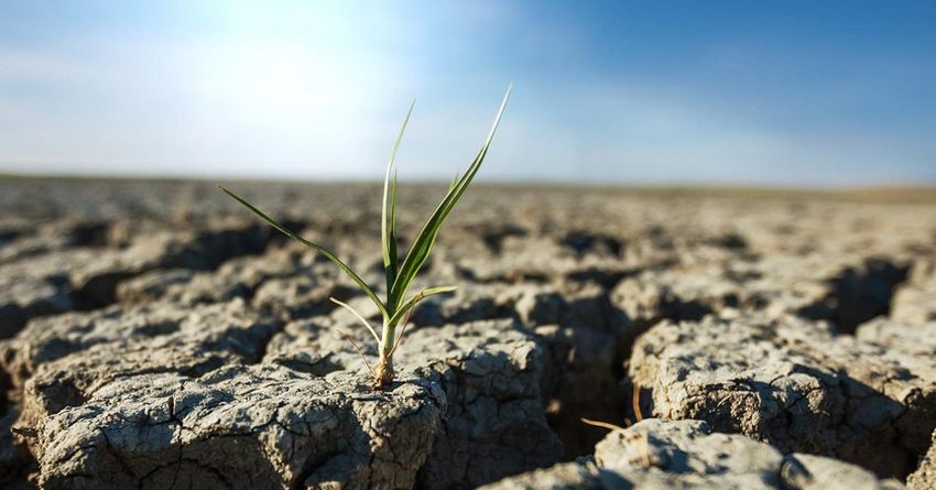 Засуха может ограничить производство в Кыргызстане
