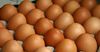 Кыргызстан наращивает производство куриных яиц