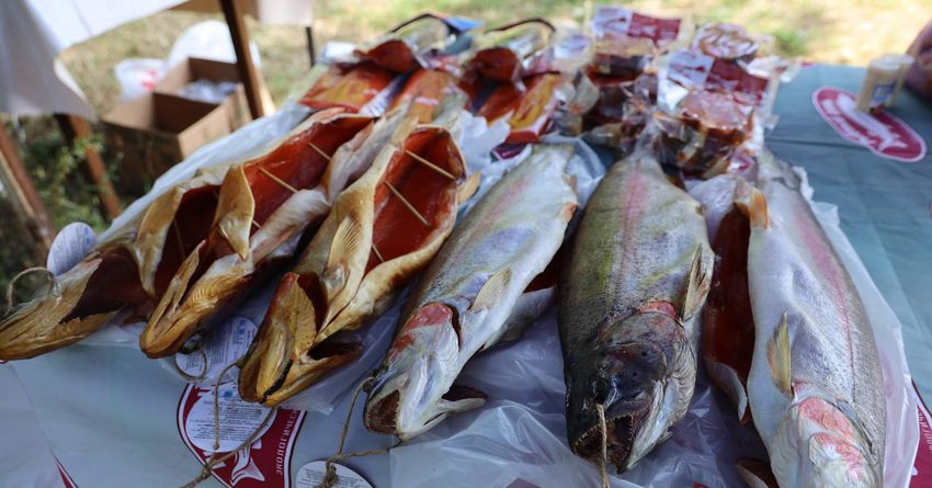 В Кыргызстане создадут центр аквакультуры за 50 млн сомов