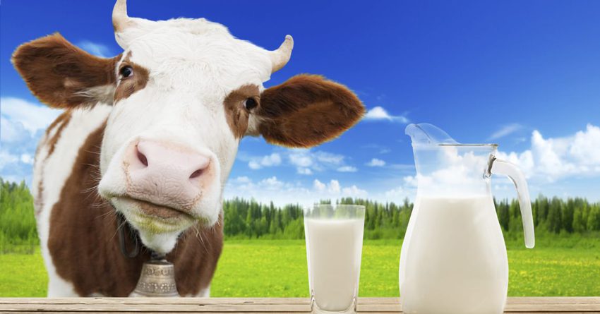 Минфин профинансировал 3.4 тысячи фермеров по производству молока