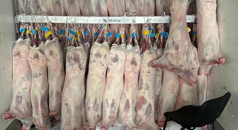 Кыргызстан будет поставлять мясо в Иран. Первая партия уже отгружена